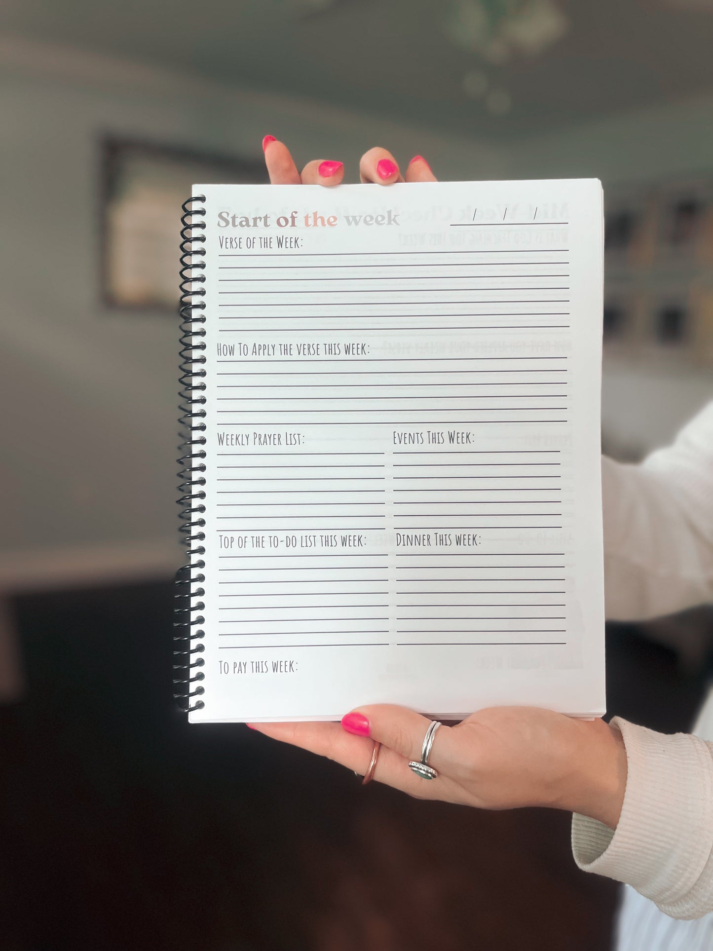 The Ways of Her Household Journal